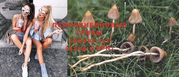 прущие крисы Магадан