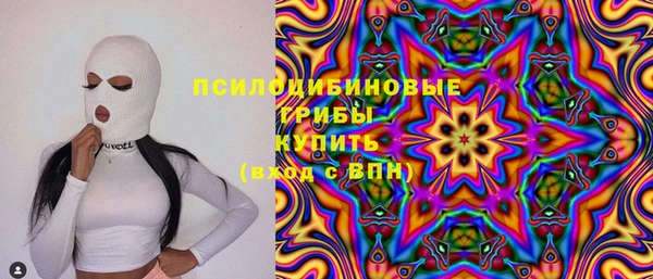 ПСИЛОЦИБИНОВЫЕ ГРИБЫ Майский