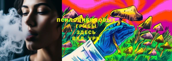 стаф Баксан