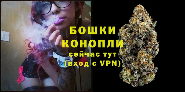 гидропоника Магас