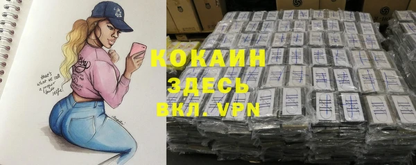 альфа пвп Медвежьегорск