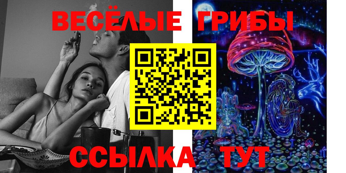 Галлюциногенные грибы Psilocybe  Вход с VPN  как найти наркотики  Печора  Псилоцибиновые грибы мухоморы 
