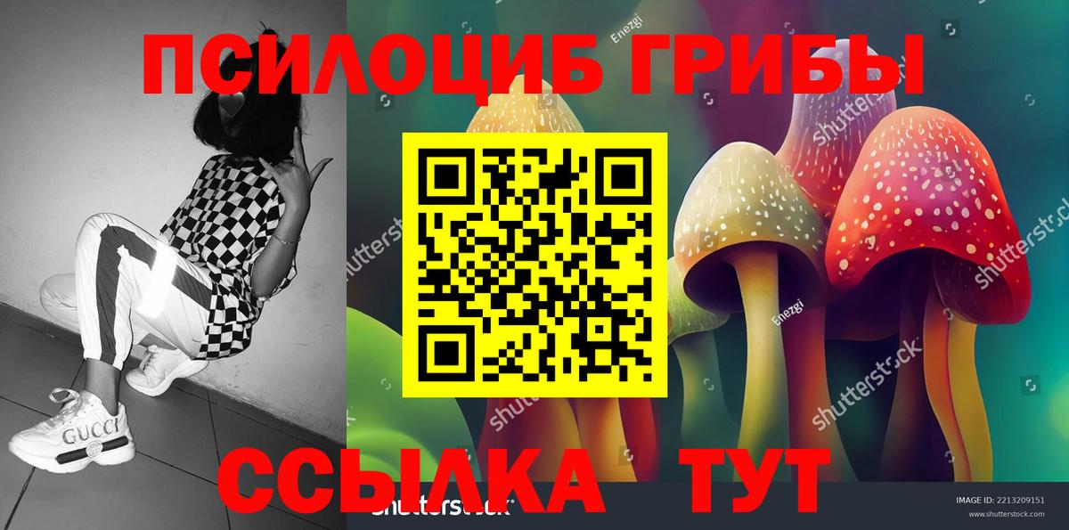 Галлюциногенные грибы MAGIC MUSHROOMS Печора
