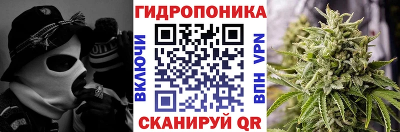 Бошки марихуана конопля Печора